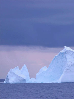 Passing icebergs a few days out from Davis Station. Photograph courtesy Wild System.