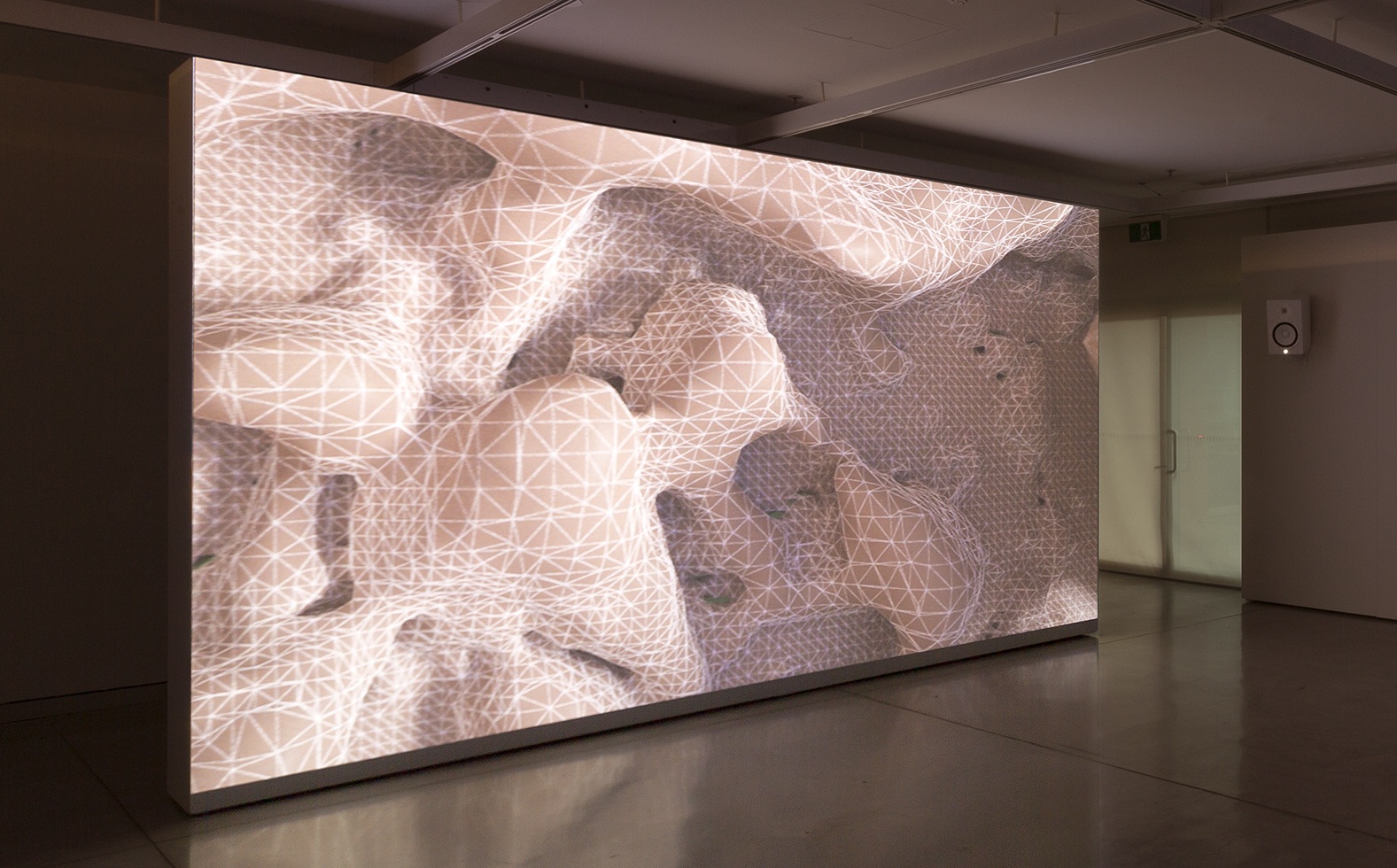 Baden Pailthorpe, Clanger (longitude, latitude, decibels), 2018. Installation view, UTS Art, Sydney. Courtesy of the artist and Sullivan+Strumpf. Photo: Jessica Maurer