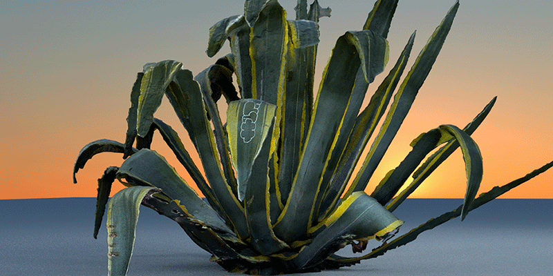 Yandell Walton, process in development with MoCap data and photogrammetry, Agave Carlton Gardens, (still), 2020.