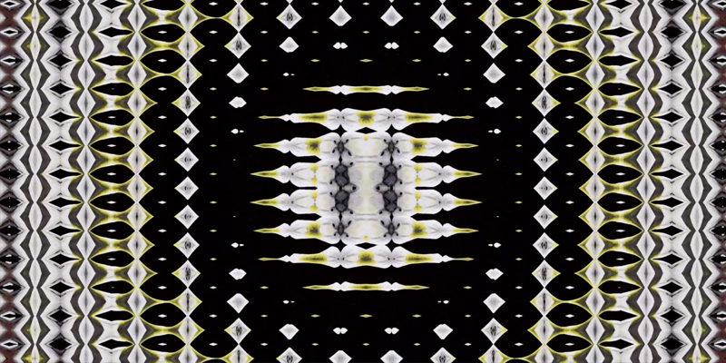 A kaleidoscopic pattern, featuring black, white, green and purple fragmented shapes forming the shape of a white circle within a black circle.