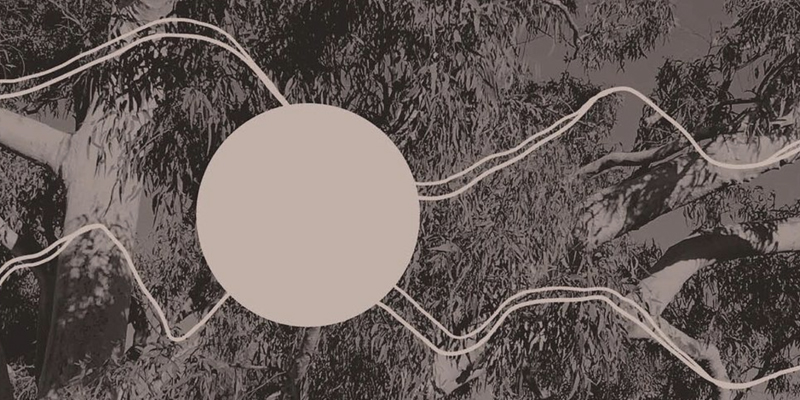 A sepia toned photograph of a Eucalyptus Tree's limbs and leaves. A large taupe coloured circle sits left the image's centre, intersected by four wavy lines stretching horizontally to the edges of the frame.