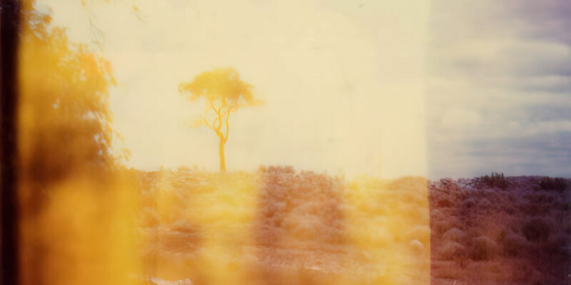 Soft, warm-toned abstract landscape with blurred trees against a hazy sky.