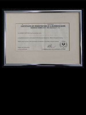 ANAT’s certificate of incorporation.