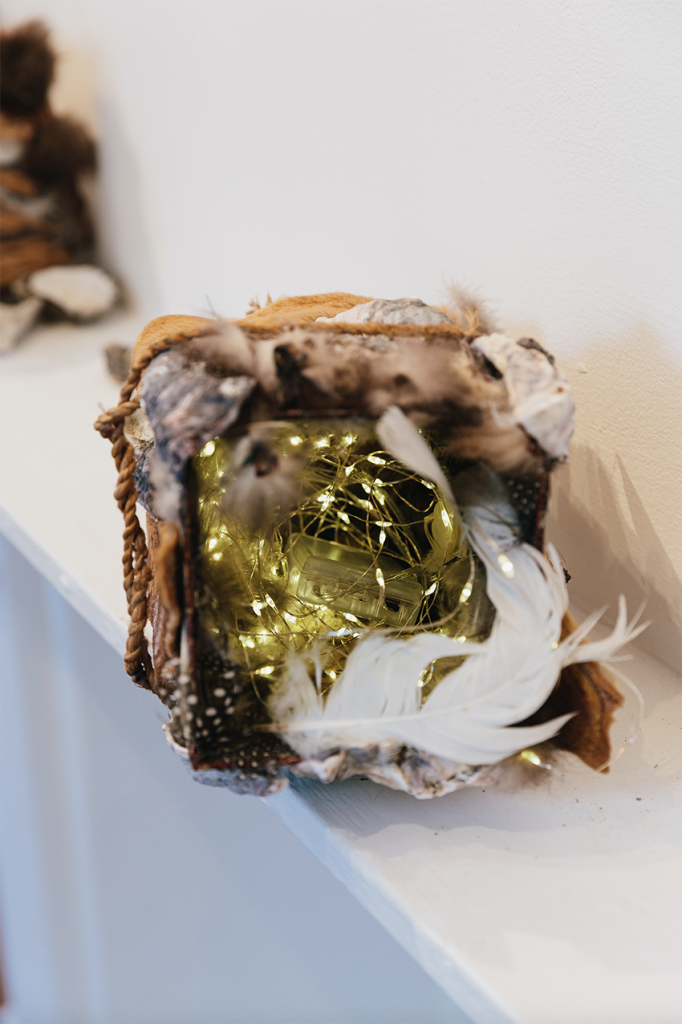 Dr Sarah Jane Moore, 2019, Accelerator Gallery