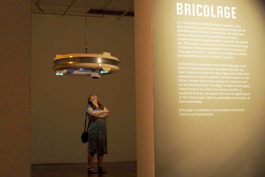 'Bricolage', exhibition view, Perth International Art Festival, Fremantle Art Centre, 2020. Photograph Simon Thompson.