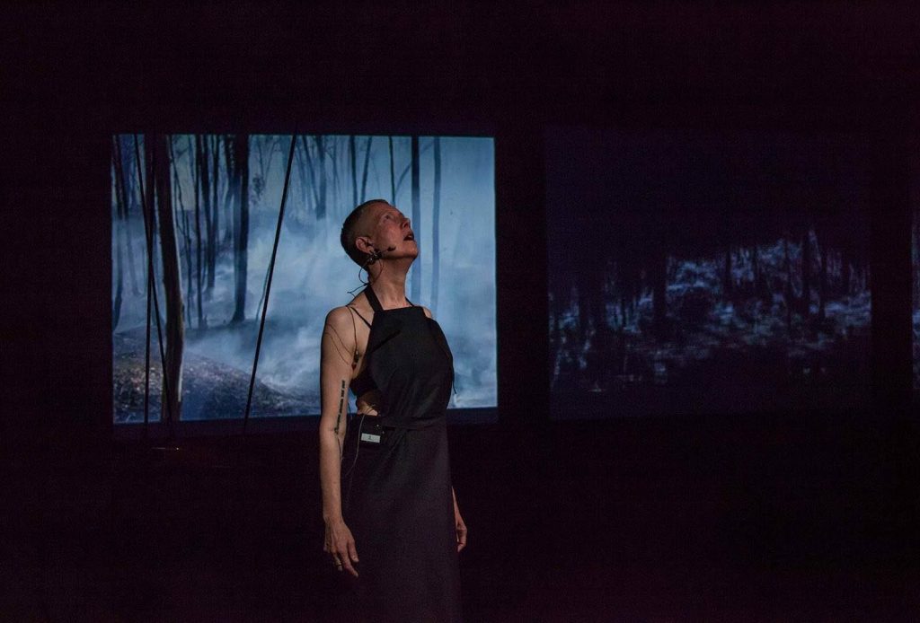 Rupture, Jessie Boylan and Linda Dement, Big Anxiety Festival, Esme Timbery CPL, UNSW, Sydney, 2019. Photograph Cynthia Scibberas.