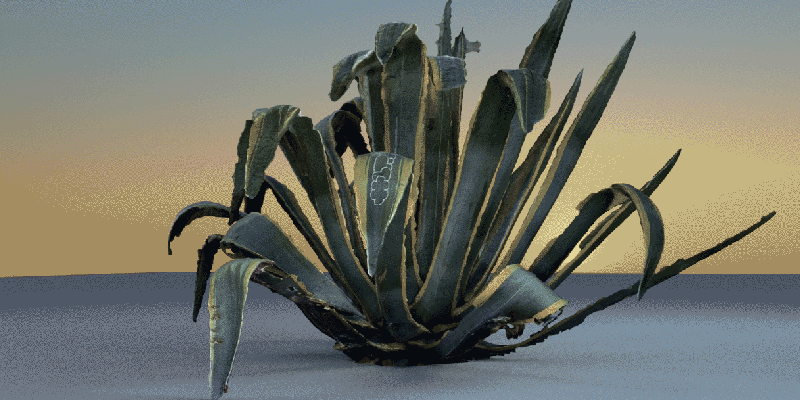 Yandell Walton, process in development with MoCap data and photogrammetry, Agave Carlton Gardens, (still), 2020