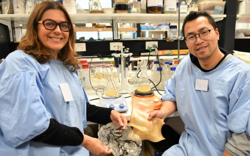 Niki Sperou, ANAT 2020 Synapse Artist in Residence at CMBD, and biotechnologist Dr Peng Su, working with marine algal biopolymers and bioplastics at Flinders University. 