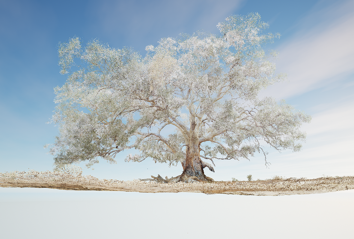 A digitalised image of an immense red river gum tree, hovers above empty space